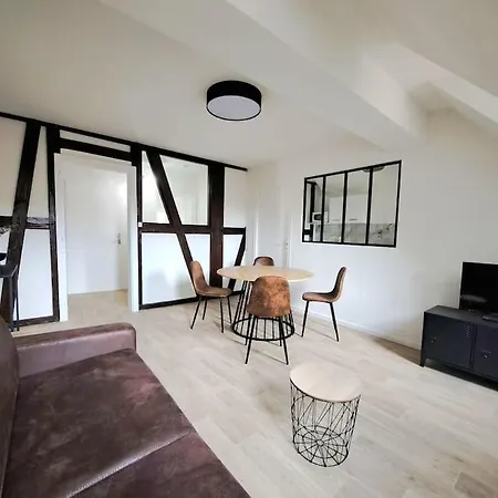 Apartman Chez Vincent - Centre Historique De Avec Parking Inclus Colmar