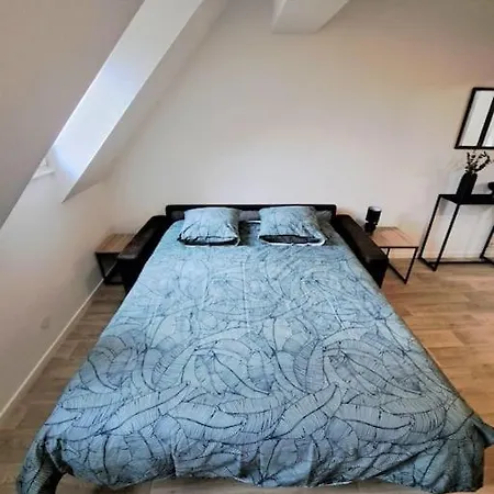 Chez Vincent - Centre Historique De Avec Parking Inclus アパート *